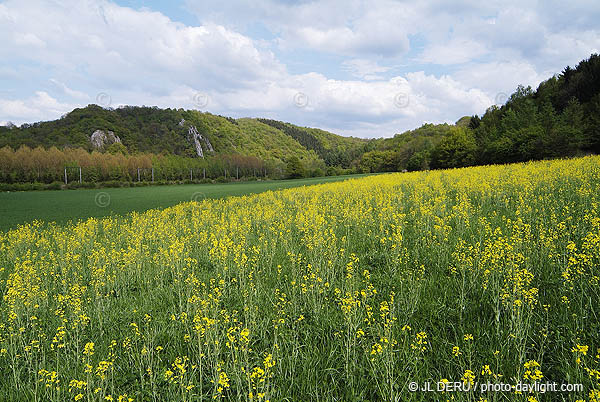 agriculture